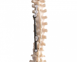 ApiFix Skeleton