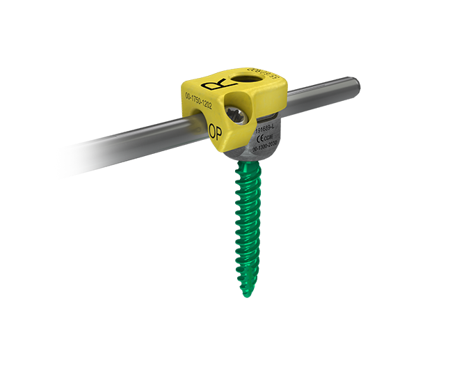 Neuromuscular Cap and Screw