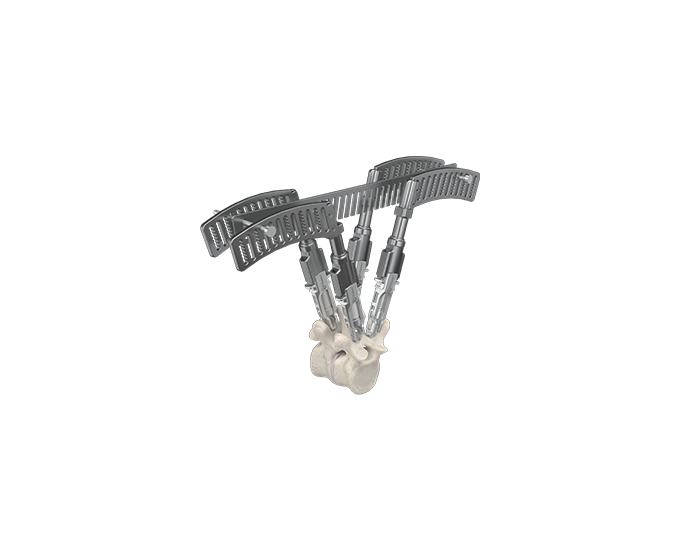 response 5.5-6.0-1 in vertebrae