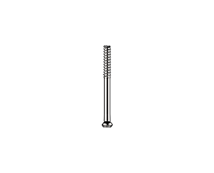 SCFE Medium Cannulated Screws
