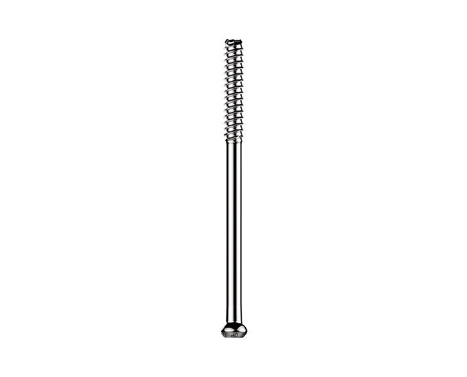 SCFE Large Cannulated Screws