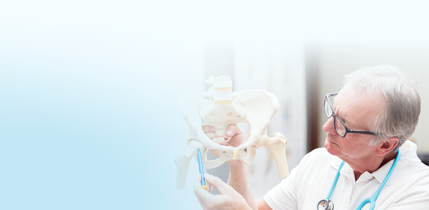 Doctor analyzing skeleton