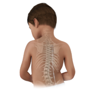 Child and Spine