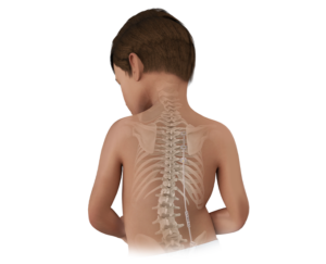 Child and Spine